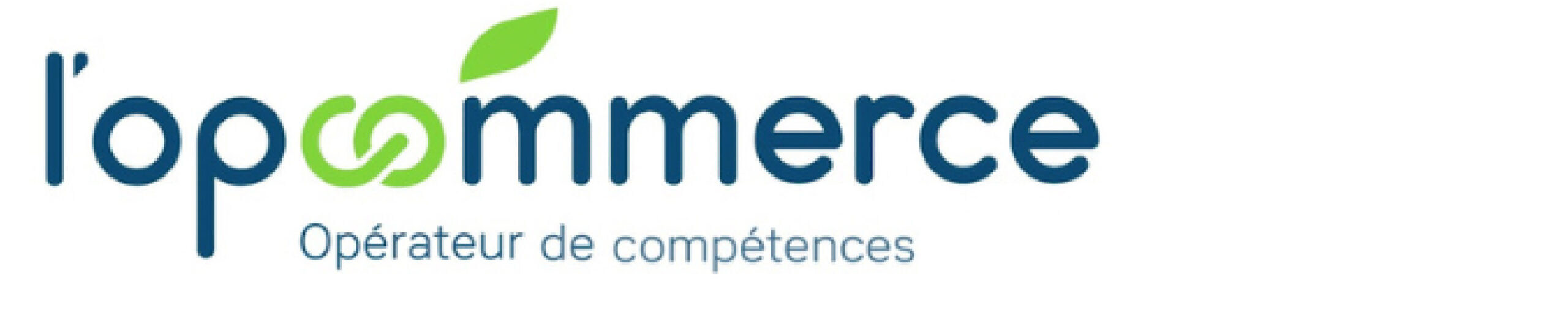 <h4>OPCOMMERCE</h4>
<p>L’OPCO <strong>OPCOMMERCE</strong> est l’opérateur de compétence des secteurs conventionnels des branches du commerce.</p>
<p>« <em>L’Opcommerce est le partenaire Alternance-Compétences des entreprises du commerce, soit 19 branches professionnelles.</em> »</p>
<p>&nbsp;</p>
<p><span class="btn btn-internal-editor btn-md btn-secondary btn-with-icon after:btn-icon-img after:mask-arrow-right-line"><a href="https://www.lopcommerce.com" target="_blank" rel="noopener">Plus d&rsquo;informations</a></span></p>
